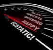 Speedometer - Stages of Happiness Speedometer - Stages of Happiness