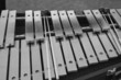 Percussion vibes with mallets in black and white