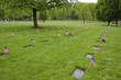 Flags decorate veterans graves on Memorial Day