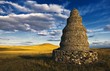 Grassland scenery