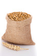Wheat