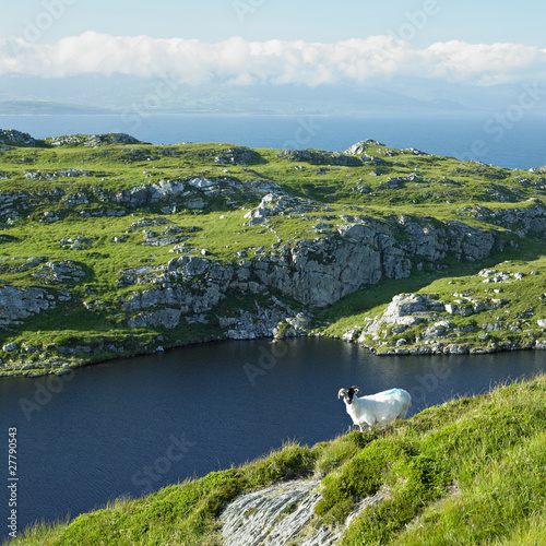 Foto: Sheep's Head Peninsula, County Cork, Ireland Sheep's Head Peninsula, County Cork, Ireland