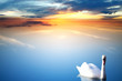 Swan lake