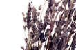 Getrockneter Lavendel auf weißem Hintergrund