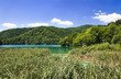 Lake in Plitvice national park of Croatia, beautiful Landscape