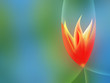 Abstract background flower