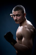 portrait of a young boxer