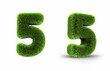 Grass Number Five Grass Number Five