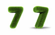 Grass Number Seven Grass Number Seven
