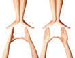 human hands isolated