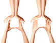 human hands isolated