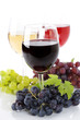 Wine composition