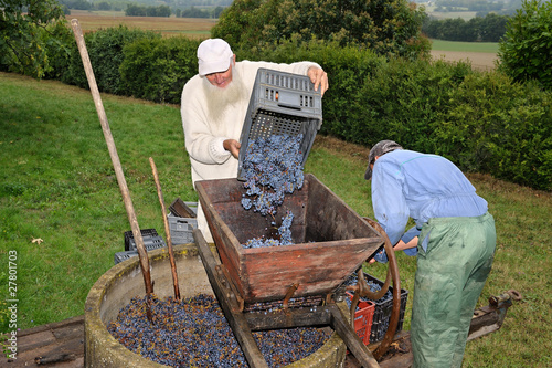 VINIFICATION