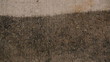 Pressure cleaning a dirty old driveway - close-up
