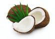 Cocos with leaves