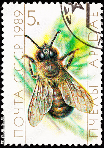 Photo: Canceled Soviet Russia Postage Stamp European Honey Bee Drone Canceled Soviet Russia Postage Stamp European Honey Bee Drone