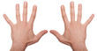well shaped business man hand count isolated over white. ten