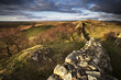 Hadrians wall