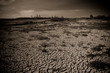 Photo: Global warming concept of cracked ground Global warming concept of cracked ground