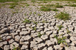 Photo: Cracked soil pattern Cracked soil pattern