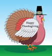 Turkey Pilgrim Outside