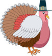 Turkey Pilgrim