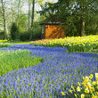 Keukenhof Gardens, Lisse, Netherlands Keukenhof Gardens, Lisse, Netherlands