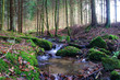 Little creeck in the Belgian Ardennes Little creeck in the Belgian Ardennes