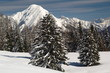 Alpine Winterlandschaft
