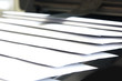 Foto: Papier Papier