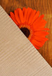 Gerber daisy, wood and grey paper composition. Gerber daisy, wood and grey paper composition.