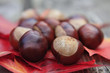 marrons