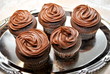 Chocolate Frosted Cupcakes