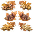 Collage Autunnale