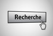 Bouton reherche Bouton reherche
