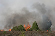 Frensham Heath Fire
