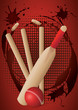 cricket set