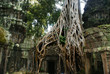tempel von brahma