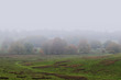 Foggy landscape