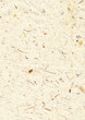 Recycled paper texture