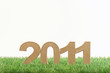 meilleurs voeux pour 2011
