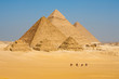 Photo: Camels Line Walk Pyramids All Camels Line Walk Pyramids All