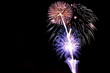 夜空に咲く花