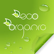 Set of eco ane organic signs with leafs.