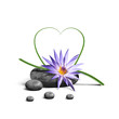 Galets Zen et Senteurs Florales