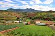 Photo: Vietnam Farmland Vietnam Farmland
