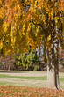 Photo: Automne Automne