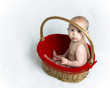 Baby sitting in a decorative gold and red Christmas basket