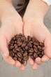 Coffee beans in the hands Coffee beans in the hands
