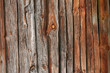 Brown pine tree wall texture Brown pine tree wall texture